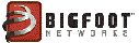 Bigfoot Networks